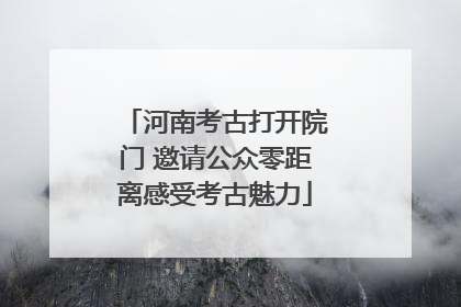 河南考古打开院门 邀请公众零距离感受考古魅力