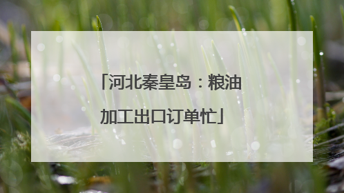 河北秦皇岛：粮油加工出口订单忙