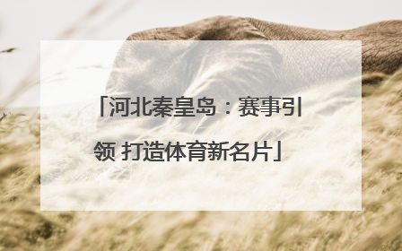 河北秦皇岛：赛事引领 打造体育新名片