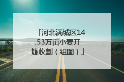 河北满城区14.53万亩小麦开镰收割（组图）
