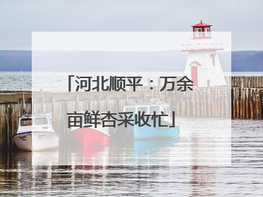 河北顺平：万余亩鲜杏采收忙