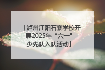 泸州江阳石寨学校开展2025年“六一”少先队入队活动