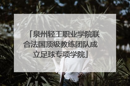泉州轻工职业学院联合法国顶级教练团队成立足球专项学院