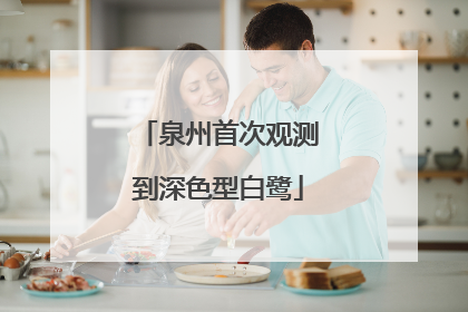 泉州首次观测到深色型白鹭