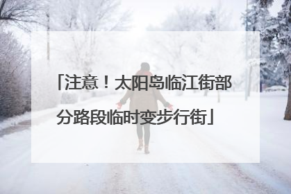 注意！太阳岛临江街部分路段临时变步行街