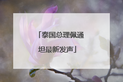 泰国总理佩通坦最新发声