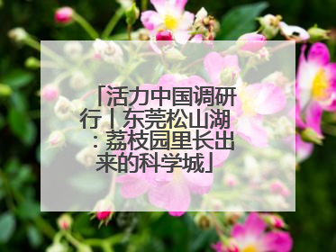 活力中国调研行丨东莞松山湖：荔枝园里长出来的科学城