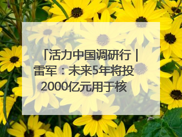 活力中国调研行｜雷军：未来5年将投2000亿元用于核心技术研发