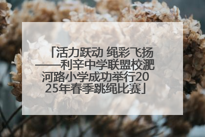 活力跃动 绳彩飞扬——利辛中学联盟校淝河路小学成功举行2025年春季跳绳比赛