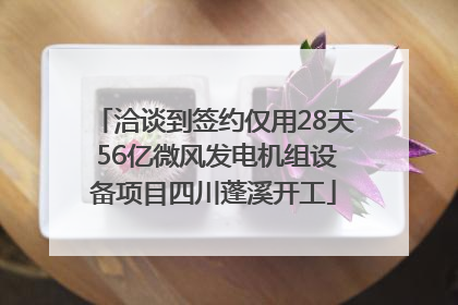 洽谈到签约仅用28天 56亿微风发电机组设备项目四川蓬溪开工