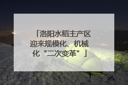 洛阳水稻主产区迎来规模化、机械化“二次变革”