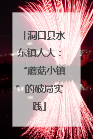 洞口县水东镇人大：“蘑菇小镇”的破局实践
