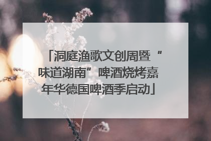 洞庭渔歌文创周暨“味道湖南”啤酒烧烤嘉年华德国啤酒季启动