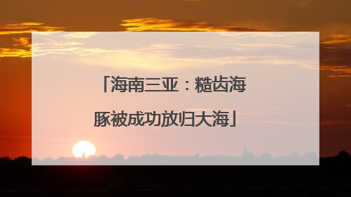 海南三亚：糙齿海豚被成功放归大海