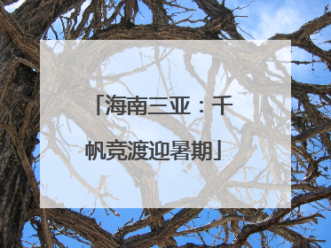 海南三亚:千帆竞渡迎暑期