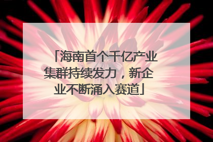 海南首个千亿产业集群持续发力，新企业不断涌入赛道