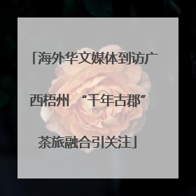 海外华文媒体到访广西梧州 “千年古郡”茶旅融合引关注