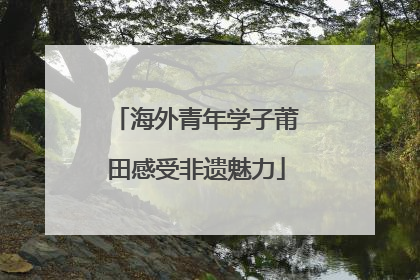 海外青年学子莆田感受非遗魅力