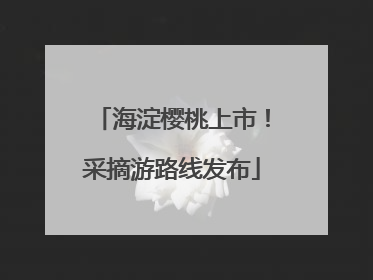 海淀樱桃上市！采摘游路线发布