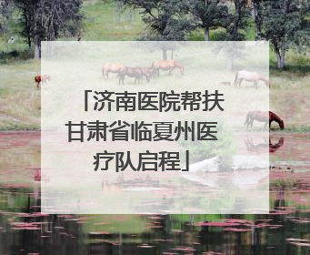 济南医院帮扶甘肃省临夏州医疗队启程