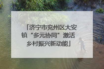 济宁市兖州区大安镇“多元协同”激活乡村振兴新动能