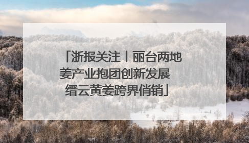浙报关注丨丽台两地姜产业抱团创新发展 缙云黄姜跨界俏销