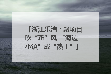 浙江乐清：聚项目吹“新”风 “海边小镇”成“热土”