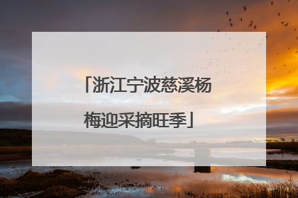 浙江宁波慈溪杨梅迎采摘旺季