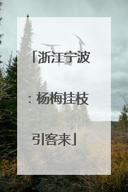 浙江宁波：杨梅挂枝引客来