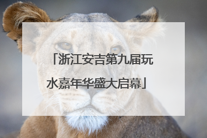 浙江安吉第九届玩水嘉年华盛大启幕