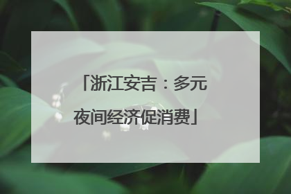 浙江安吉：多元夜间经济促消费