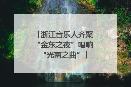 浙江音乐人齐聚“金东之夜”唱响“光南之曲”