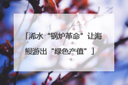 浠水“锅炉革命”让海鳗游出“绿色产值”