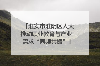 淮安市淮阴区人大推动职业教育与产业需求“同频共振”