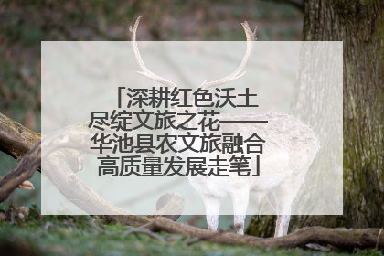 深耕红色沃土 尽绽文旅之花——华池县农文旅融合高质量发展走笔