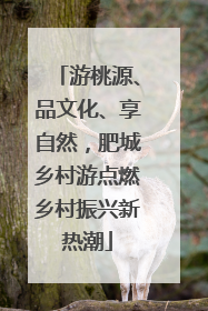 游桃源、品文化、享自然，肥城乡村游点燃乡村振兴新热潮