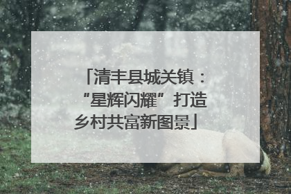 清丰县城关镇：“星辉闪耀”打造乡村共富新图景
