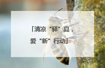 清凉“驿”夏，爱“新”行动