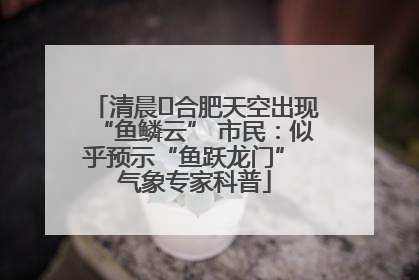 清晨﻿合肥天空出现“鱼鳞云” 市民：似乎预示“鱼跃龙门” 气象专家科普