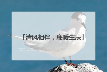 清风相伴，廉暖生辰