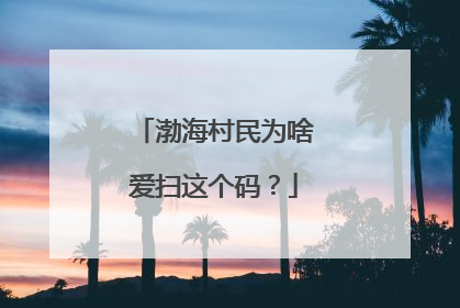渤海村民为啥爱扫这个码？