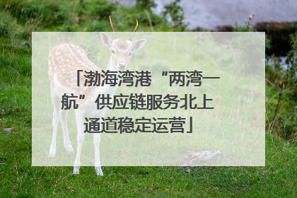 渤海湾港“两湾一航”供应链服务北上通道稳定运营