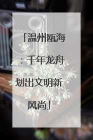 温州瓯海：千年龙舟划出文明新风尚