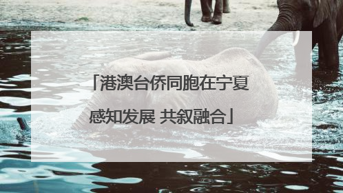 港澳台侨同胞在宁夏感知发展 共叙融合