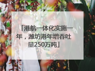 港航一体化实施一年，潍坊港年增吞吐量250万吨
