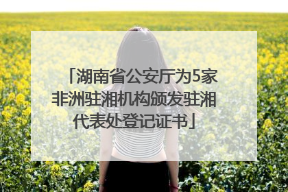 湖南省公安厅为5家非洲驻湘机构颁发驻湘代表处登记证书