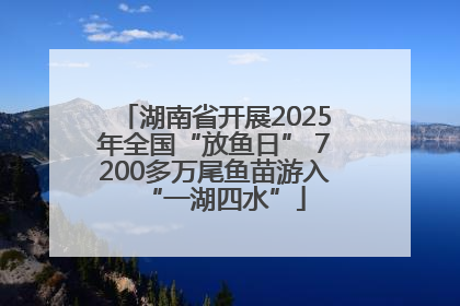 湖南省开展2025年全国“放鱼日” 7200多万尾鱼苗游入“一湖四水”