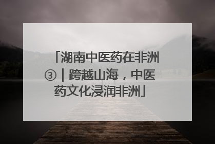 湖南中医药在非洲③｜跨越山海，中医药文化浸润非洲