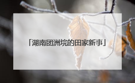 湖南团洲垸的田家新事