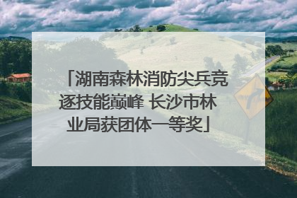 湖南森林消防尖兵竞逐技能巅峰 长沙市林业局获团体一等奖